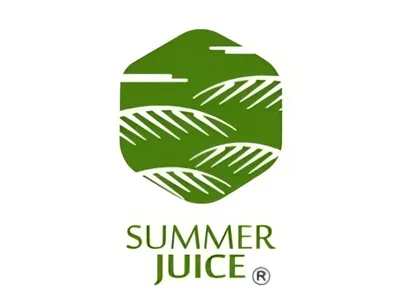 Вельберт Ронкильо (генеральный директор)